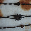 EXTREMELY RARE SPUR ROWEL BARBED WIRE