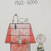 Peanuts Custom Light Switch