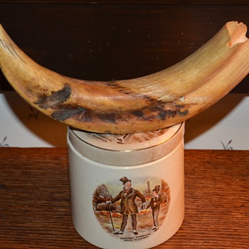 Warthog Tusk - Animals