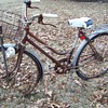 Found These  Bicycles in the Woods by my House