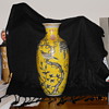 My beautiful Chinese vase