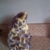 1994 Zoo borns giraffe