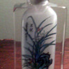 Asian Painted inside snuff Bottle?