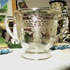 S Pattern Stippled Rose Band Clear Depression Glass