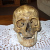 old human skull