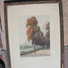 ANTIQUE PICTURE