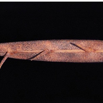 rare barbed wire - Tools and Hardware