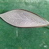 David anderson pin