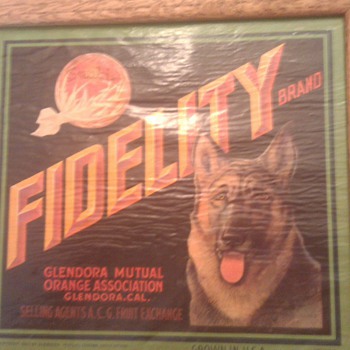 1923 sunkist crate label