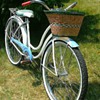 Schwinn Co-Ed ...Ahhh Summer
