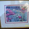 red poppy 1330/1500
