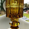 Bohemian Goblet with Deers and Dogs 19Cent