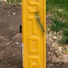 STOP....sign
