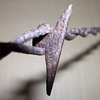 More Antique Barbed Wire