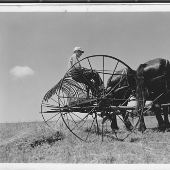 My Uncle in Field I Love this Photo  - Photographs