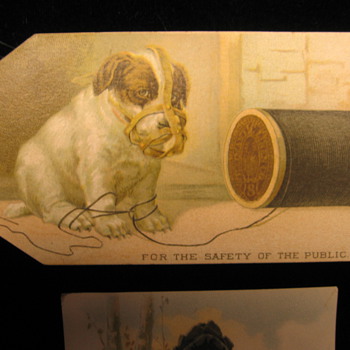 Trade Cards