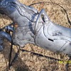 alum hobby horse