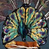 MAJOLICA PEACOCK VASE ?