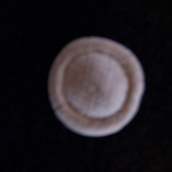 Old clay button - Sewing