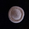 Old clay button