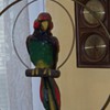 Vintage Parrot Macaw, chalkware.