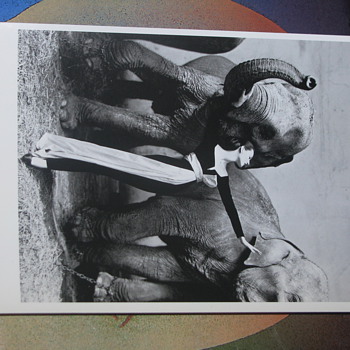Model with elephants vintage postcard