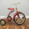 I just picked this tricycle, what do you think ?
