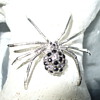 Beautiful Spider Pin
