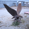 Eagle metal