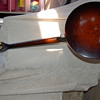 Inherited early 1900's Banjo