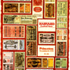 Football program cover with photo of tickets to games at Harvard Stadium