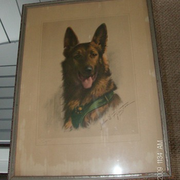 Pencil Drawing~Police Dog - Animals