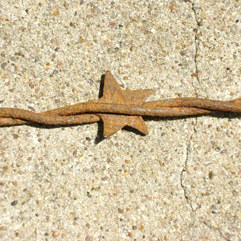 Barbed Wire Stars