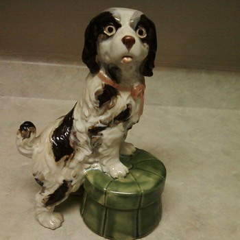 A BEAUTY OF A SPANIEL