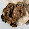 Indian Buttons?