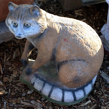 What the...? raccoon! - Animals