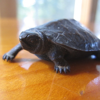 A Signed Turtle Bronze - Asian