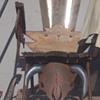 Outdoor chairs