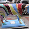 Free Speech Cow in Burlington VT