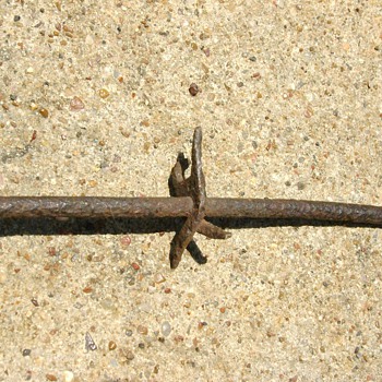 Bobbed Wire