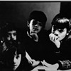 Old Picture from the 60's New York Chris Bruno