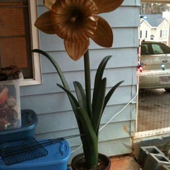 Carnival Ride Daffodil 