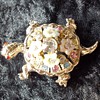 Turtle brooches & an owl brooch.