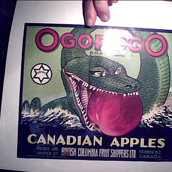 it's an ogopogo
