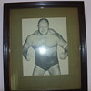 dick the bruiser