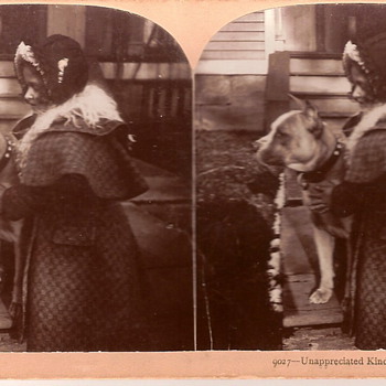 Stereoscopic picture
