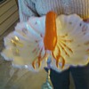 Antique Lobster Limoge
