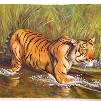 Oil Painting of Bengal Tiger in The River done by Reiko 