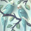 Birds-Majolica ?