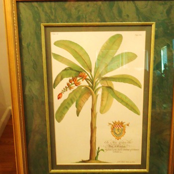 Frame $15.00 but what tree and what is the print? - Posters and Prints